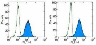 Flow Cytometry: PD-1 Antibody (J116) - Azide and BSA Free [NBP2-34498]