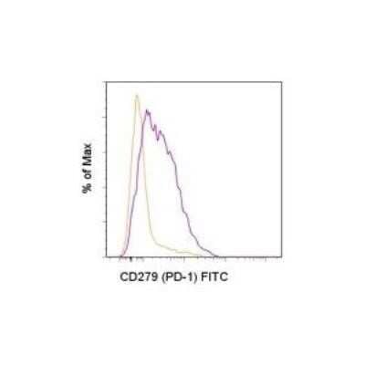 Immunocytochemistry/ Immunofluorescence: PD-1 Antibody (J43) - Azide and BSA Free [NBP2-34497]