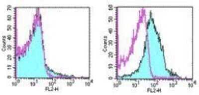 Flow Cytometry: PD-1 Antibody (J43) - BSA Free [NBP1-43110]