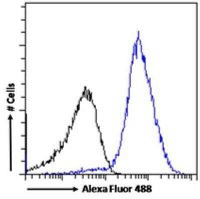 Flow Cytometry: PD-L1 Antibody [NB300-903]