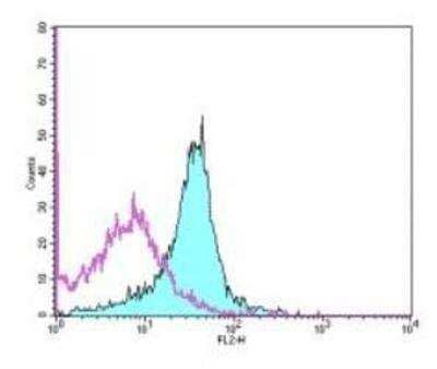 Flow Cytometry: PD-L1 Antibody (MIH5) - BSA Free [NBP1-43262]