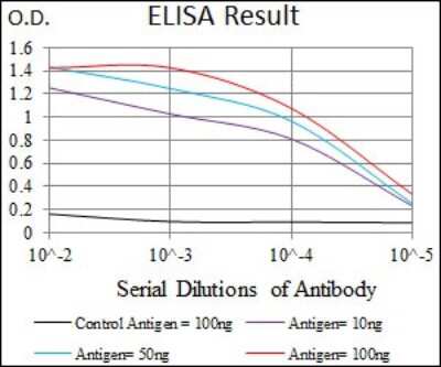 ELISA: PDE1B Antibody (10B10B12) - BSA Free [NBP2-37403]