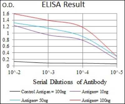 ELISA: PDE1B Antibody (5C4A3) - BSA Free [NBP2-37404]