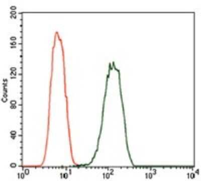 Flow Cytometry: PDE1B Antibody (5C4A3) - BSA Free [NBP2-37404]
