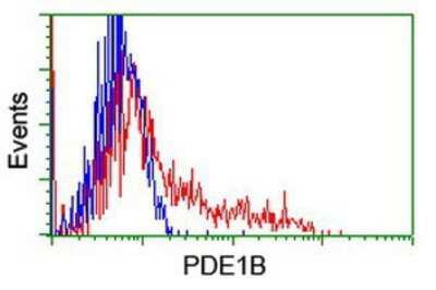 Flow Cytometry: PDE1B Antibody (OTI6E4) [NBP2-01063]