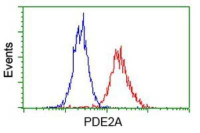 Flow Cytometry: PDE2A Antibody (OTI3A4) [NBP2-03598]