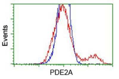 Flow Cytometry: PDE2A Antibody (OTI3A4) [NBP2-03598]