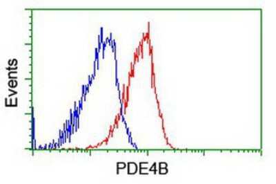 Flow Cytometry: PDE4B Antibody (OTI1D12) [NBP2-01171]