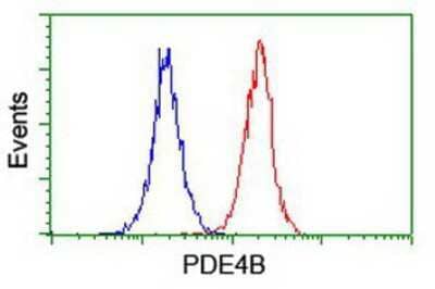 Flow Cytometry: PDE4B Antibody (OTI1D12) [NBP2-01171]