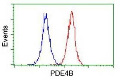 Flow Cytometry: PDE4B Antibody (OTI1D12) - Azide and BSA Free [NBP2-73292]