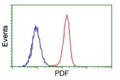 Flow Cytometry: PDF Antibody (OTI3F3) [NBP2-00814]
