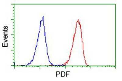 Flow Cytometry: PDF Antibody (OTI3F3) [NBP2-00814]