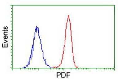 Flow Cytometry: PDF Antibody (OTI3F3) - Azide and BSA Free [NBP2-73301]