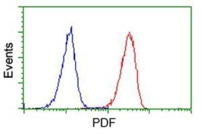 Flow Cytometry: PDF Antibody (OTI3F3) - Azide and BSA Free [NBP2-73301]