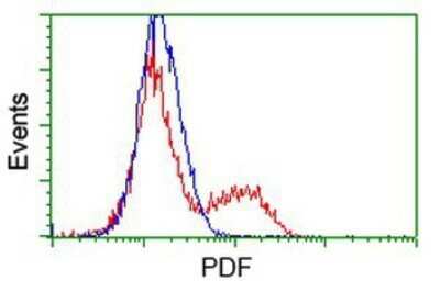 Flow Cytometry: PDF Antibody (OTI3F3) - Azide and BSA Free [NBP2-73301]