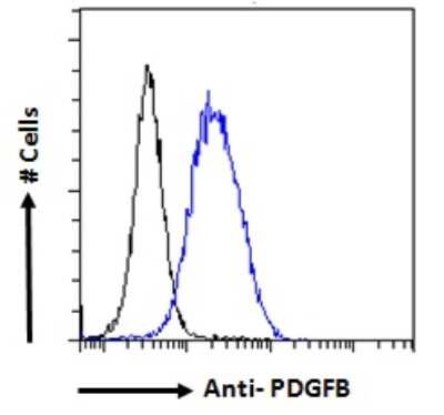 Flow Cytometry: PDGF-B Antibody [NBP1-52533]