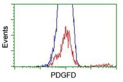 Flow Cytometry: PDGF-D/SCDGFB Antibody (OTI1C1) - Azide and BSA Free [NBP2-73305]