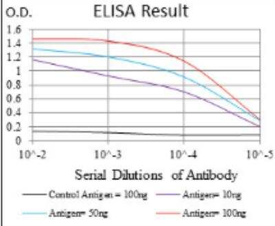 ELISA: PDGFR alpha Antibody (8E12F2) - BSA Free [NBP2-52528]