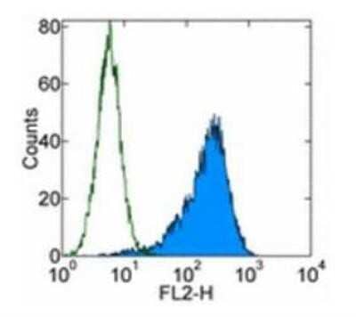 Flow Cytometry: PDGFR alpha Antibody (APA5) - BSA Free [NBP1-43350]