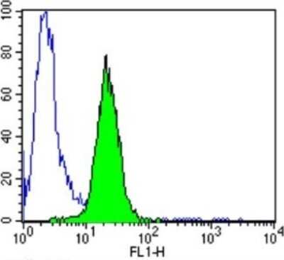 Flow Cytometry: Protein Disulfide Isomerase/P4HB Antibody (RL90) [NB300-517]