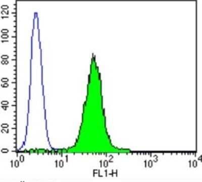 Flow Cytometry: Protein Disulfide Isomerase/P4HB Antibody (RL90) [NB300-517]