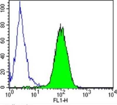 Flow Cytometry: Protein Disulfide Isomerase/P4HB Antibody (RL90) [NB300-517]