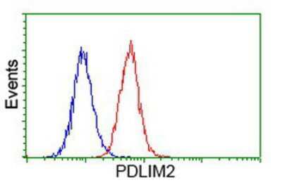 Flow Cytometry: PDLIM2 Antibody (OTI11A12) [NBP2-00619]