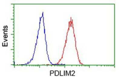 Flow Cytometry: PDLIM2 Antibody (OTI11A12) [NBP2-00619]