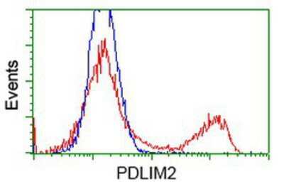 Flow Cytometry: PDLIM2 Antibody (OTI11A12) [NBP2-00619]