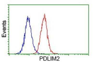 Flow Cytometry: PDLIM2 Antibody (OTI11A12) - Azide and BSA Free [NBP2-73311]