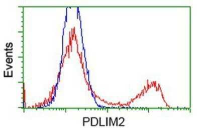 Flow Cytometry: PDLIM2 Antibody (OTI11A12) - Azide and BSA Free [NBP2-73311]