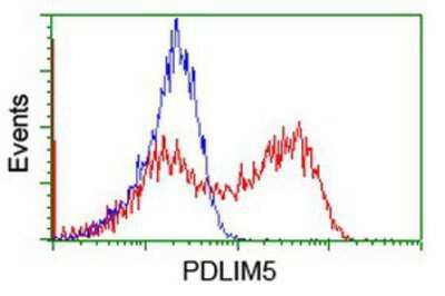 Flow Cytometry: PDLIM5 Antibody (OTI1H10) [NBP2-01877]