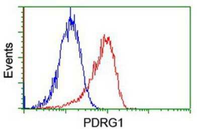 Flow Cytometry: PDRG1 Antibody (OTI4F12) [NBP2-01854]