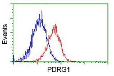 Flow Cytometry: PDRG1 Antibody (OTI4F12) - Azide and BSA Free [NBP2-73320]
