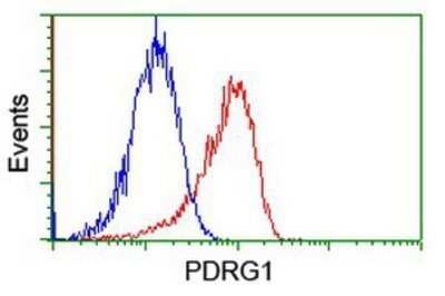 Flow Cytometry: PDRG1 Antibody (OTI4F12) - Azide and BSA Free [NBP2-73320]