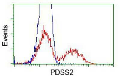 Flow Cytometry: PDSS2 Antibody (OTI1D12) [NBP2-01512]