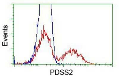 Flow Cytometry: PDSS2 Antibody (OTI1D12) - Azide and BSA Free [NBP2-73323]