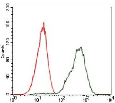 Flow Cytometry: PDX-1/IPF1 Antibody (2G12) - BSA Free [NBP2-37504]
