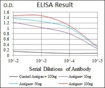 ELISA: PDX-1/IPF1 Antibody (5A5) - BSA Free [NBP2-37506]