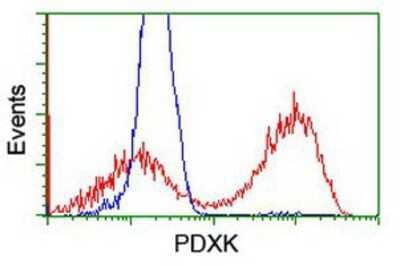 Flow Cytometry: Pyridoxal Kinase/PDXK Antibody (OTI5H5) [NBP2-00821]