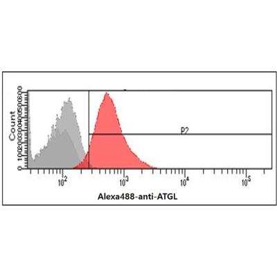 Flow Cytometry: PEDFR/PNPLA2/ATGL Antibody (AT18E6) - BSA Free [NBP2-59390]