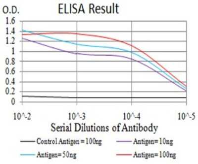ELISA: PELP1 Antibody (2D6D11) - BSA Free [NBP2-61777]