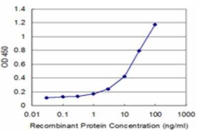 ELISA: PEX19 Antibody (2E4) [H00005824-M07]