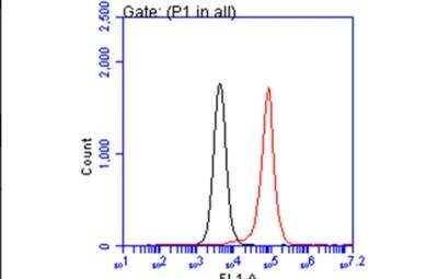 Flow Cytometry: PEX19 Antibody (554) [NBP2-43544]
