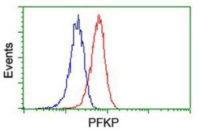Flow Cytometry: PFKP Antibody (OTI1D6) [NBP2-01539]