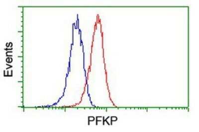 Flow Cytometry: PFKP Antibody (OTI1D6) - Azide and BSA Free [NBP2-73344]