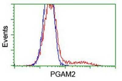 Flow Cytometry: PGAM2 Antibody (OTI4E9) - Azide and BSA Free [NBP2-73358]