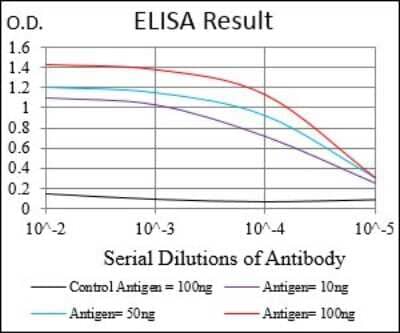ELISA: PGC-1 beta Antibody (6C3F6) - BSA Free [NBP2-37249]