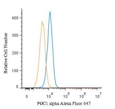 Flow Cytometry of HeLa Cells Stained with Alexa Fluor 647 Conjugated PGC1 alpha Antibody