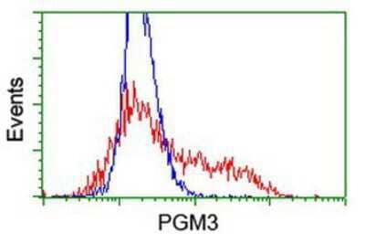 Flow Cytometry: PGM3 Antibody (OTI1A11) [NBP2-03734]
